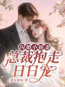 闪婚成宠，老公夜夜哄